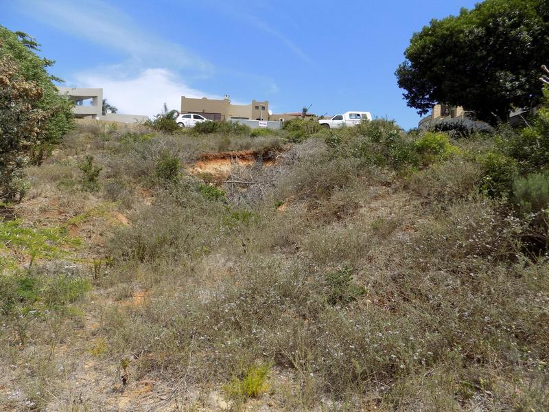 0 Bedroom Property for Sale in Hartenbos Heuwels Western Cape